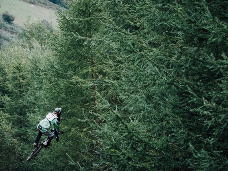 Free to Paid Pipeline